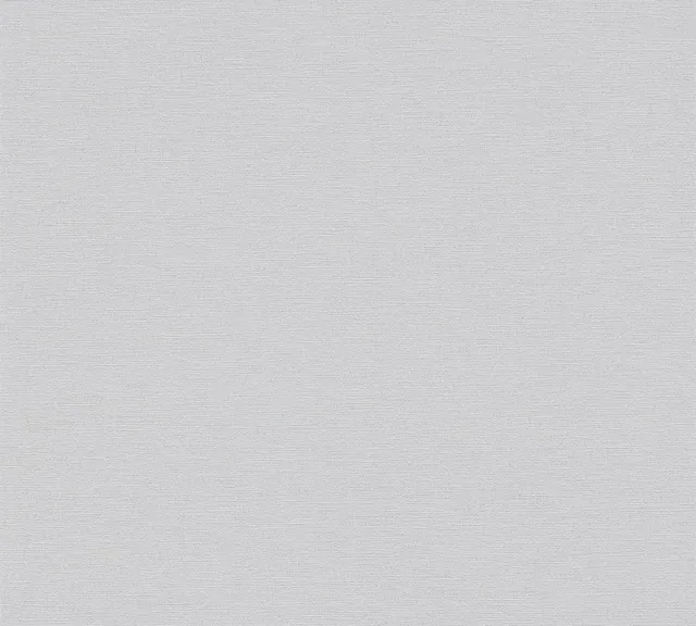 295905