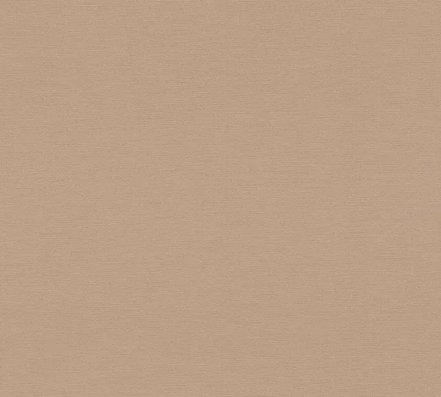 295907